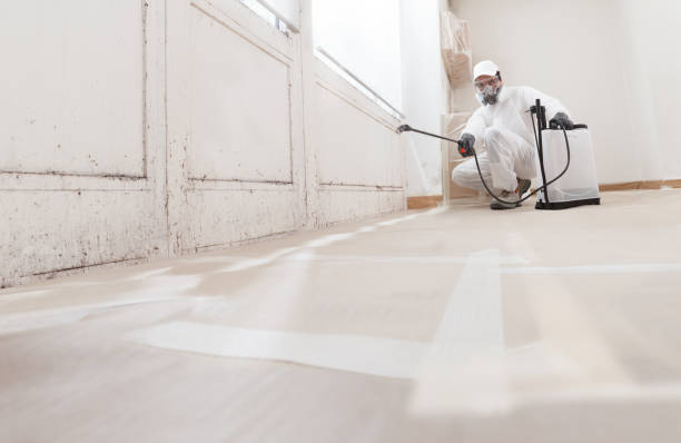 24/7 Emergency Attic Mold Removal experts in Lincoln University, PA